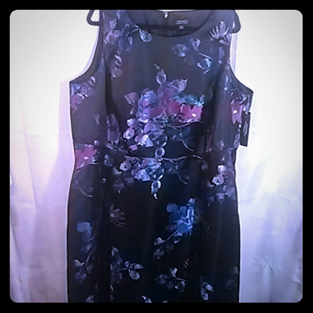 Tahari plus size 22w dress nwt